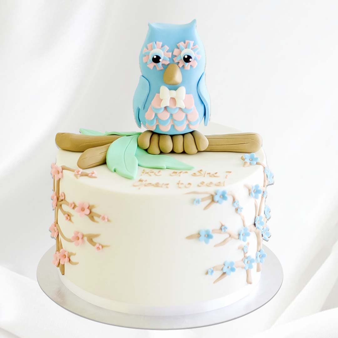 OWL THEME CAKE in dubai